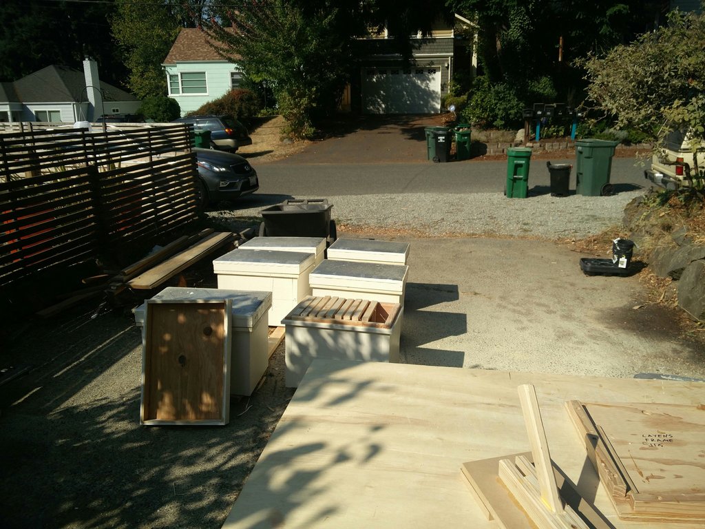hives-in-driveway
